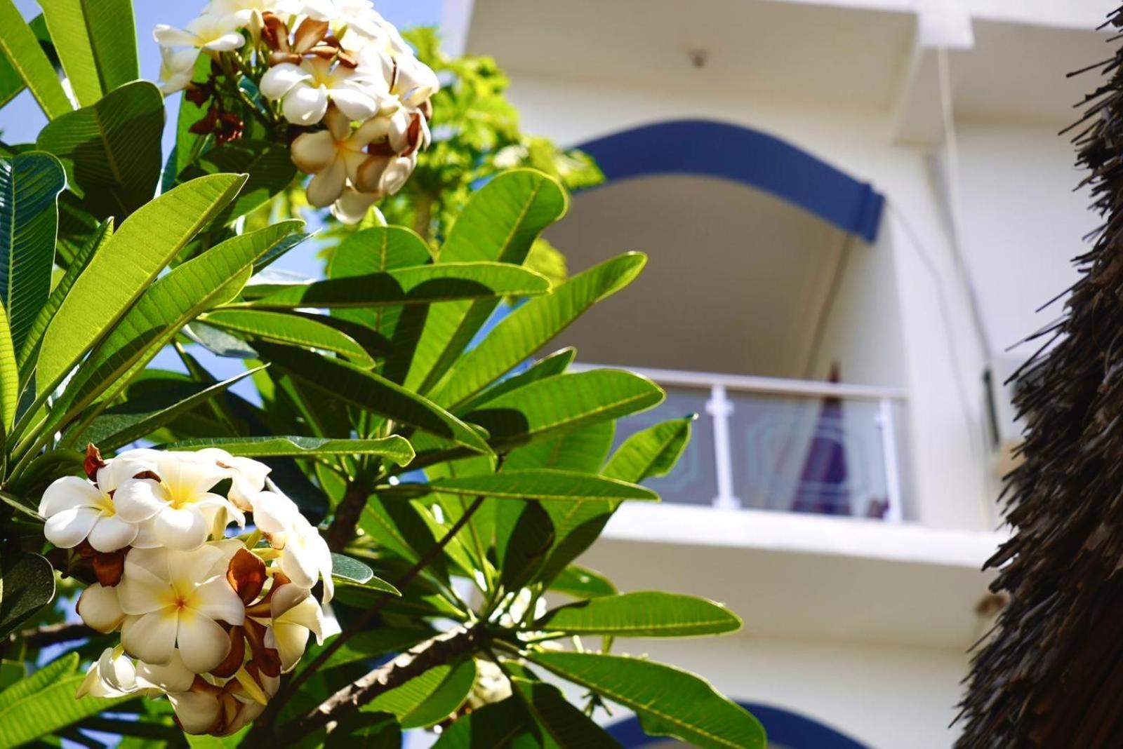 Daeli Apartment Kendwa Zewnętrze zdjęcie